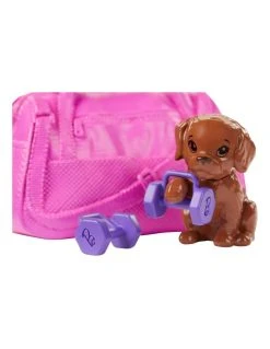MATTEL Barbie Welliness Ημέρα Ομορφιάς Fitness (GJG57) -Winfun Shop 201024 4
