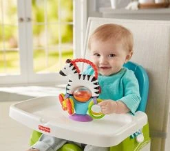 Fisher Price Ζεβρα Δραστηριοτητων Με Βεντουζα (FGJ11) -Winfun Shop 674960 5