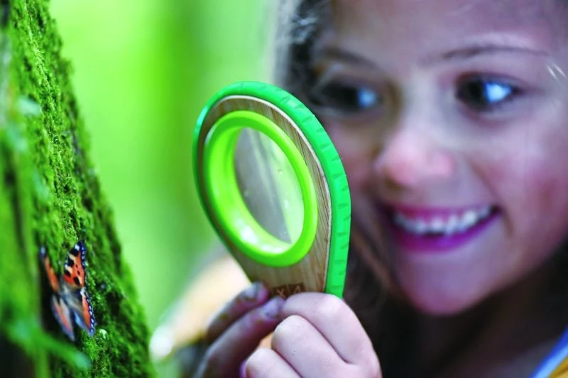 Hape Ξύλινα Σετ Εξερέυνησης Με Σφυρίχτρα Και Καθρέπτη (E5570) 6 Hape Ξύλινα Σετ Εξερέυνησης Με Σφυρίχτρα Και Καθρέπτη (E5570) - Image 4